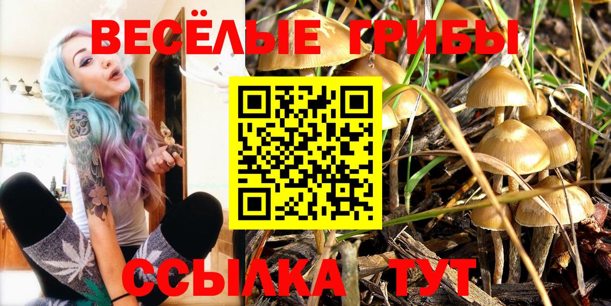 Галлюциногенные грибы прущие грибы  Псилоцибиновые грибы мицелий  Вход с VPN  Владимир 