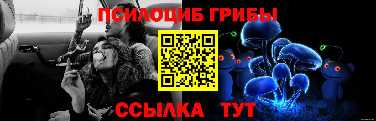 Псилоцибиновые грибы Magic Shrooms Владимир